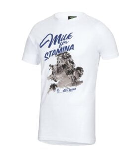 mens stamina organic cotton t-shirt - t-shirts