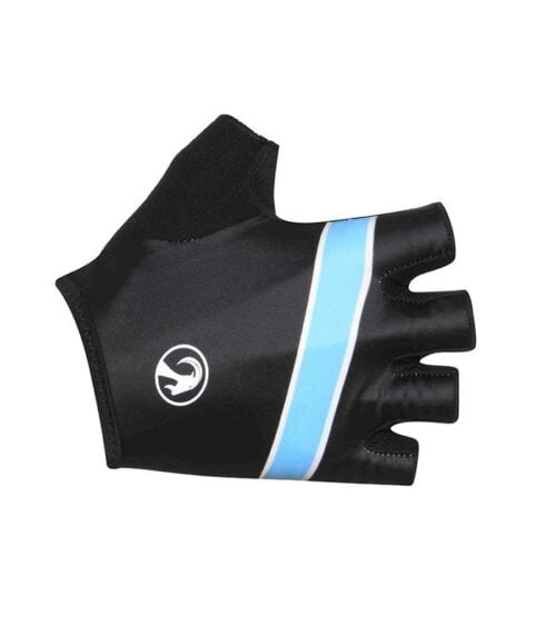 champion blue mitts - gloves