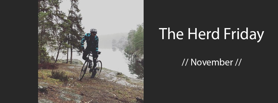 the herd friday novembers winner