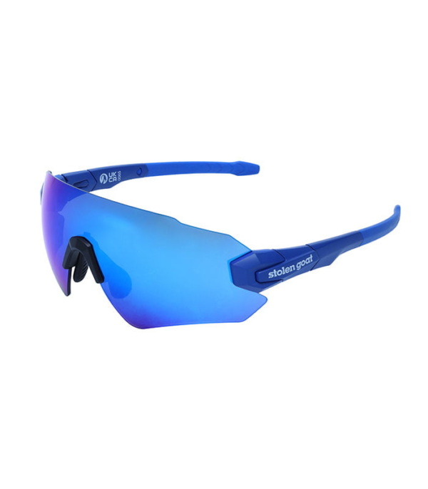 Hexi Navy Sunglasses