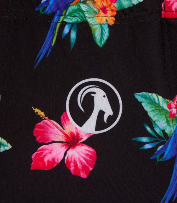 Women's Elwood Black Ibex Bodyline Jersey