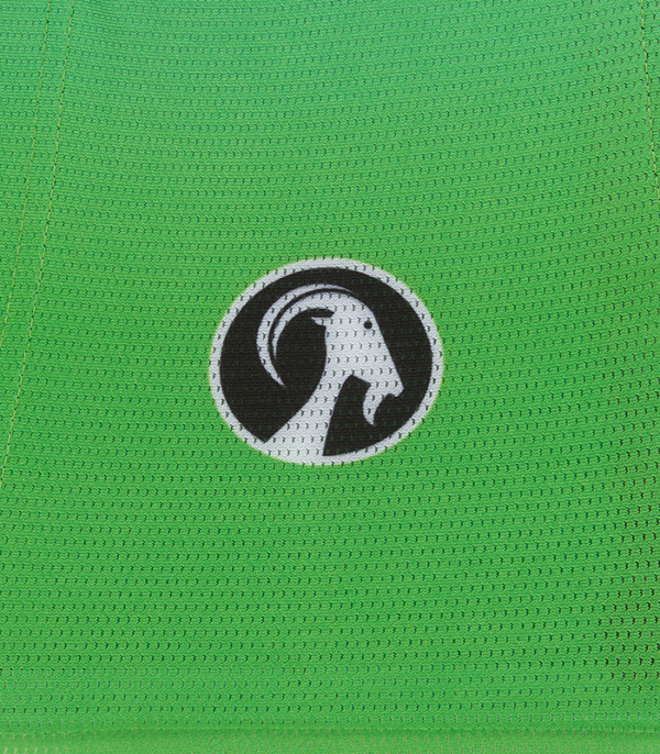 Men's Minty Climbers Jersey