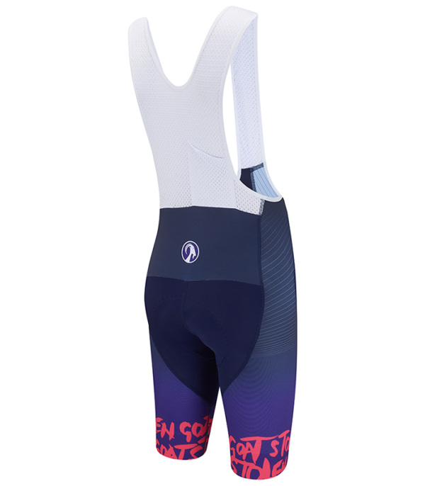 Men's Race Team Epic Bib Shorts