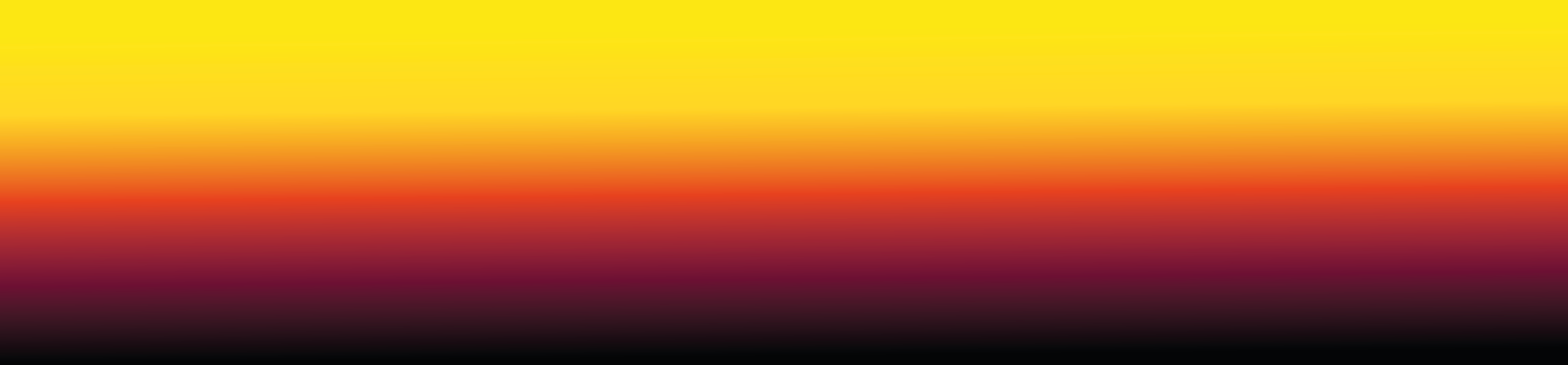 CHASE THE SUN