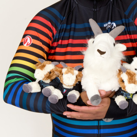 person holding small goat toys