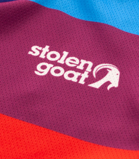 stolen goat hinterland mtb jersey