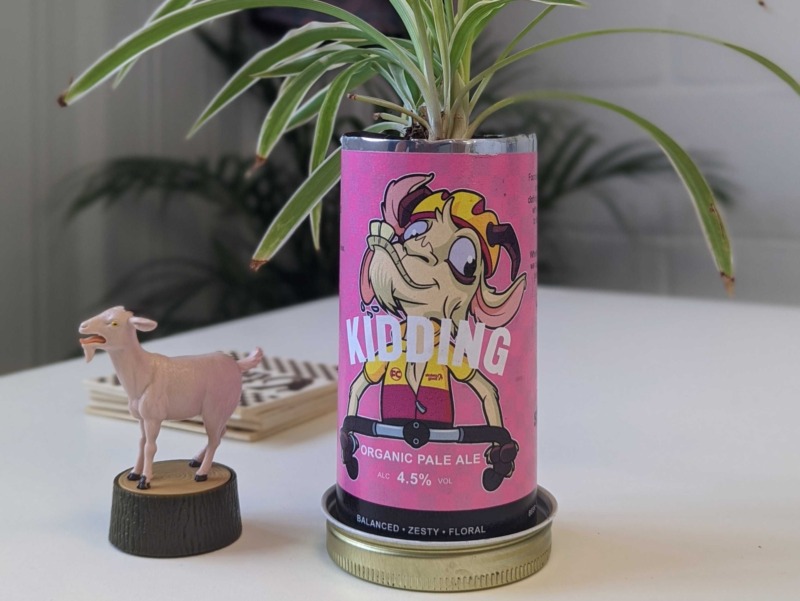 Goat figurine and a plant in the Stolen Goat Kidding Pale Ale can at SG HQ