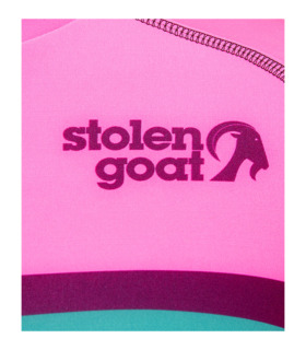 Close up of front logo detail on women's Misty Ibex jersey bright pink with multi-coloured block stripe