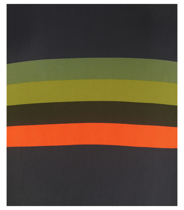 Men's Ziggy Ibex Bodyline Long Sleeved Jersey
