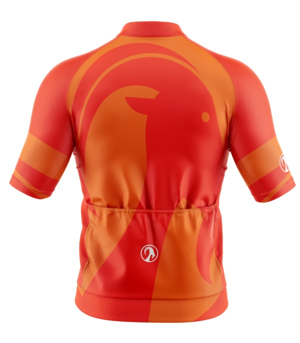 Men's Ronny 25 Ibex Everyday SS Jersey
