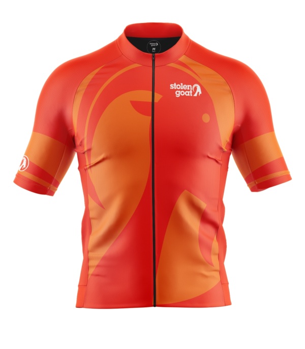 Men's Ronny 25 Ibex Everyday SS Jersey