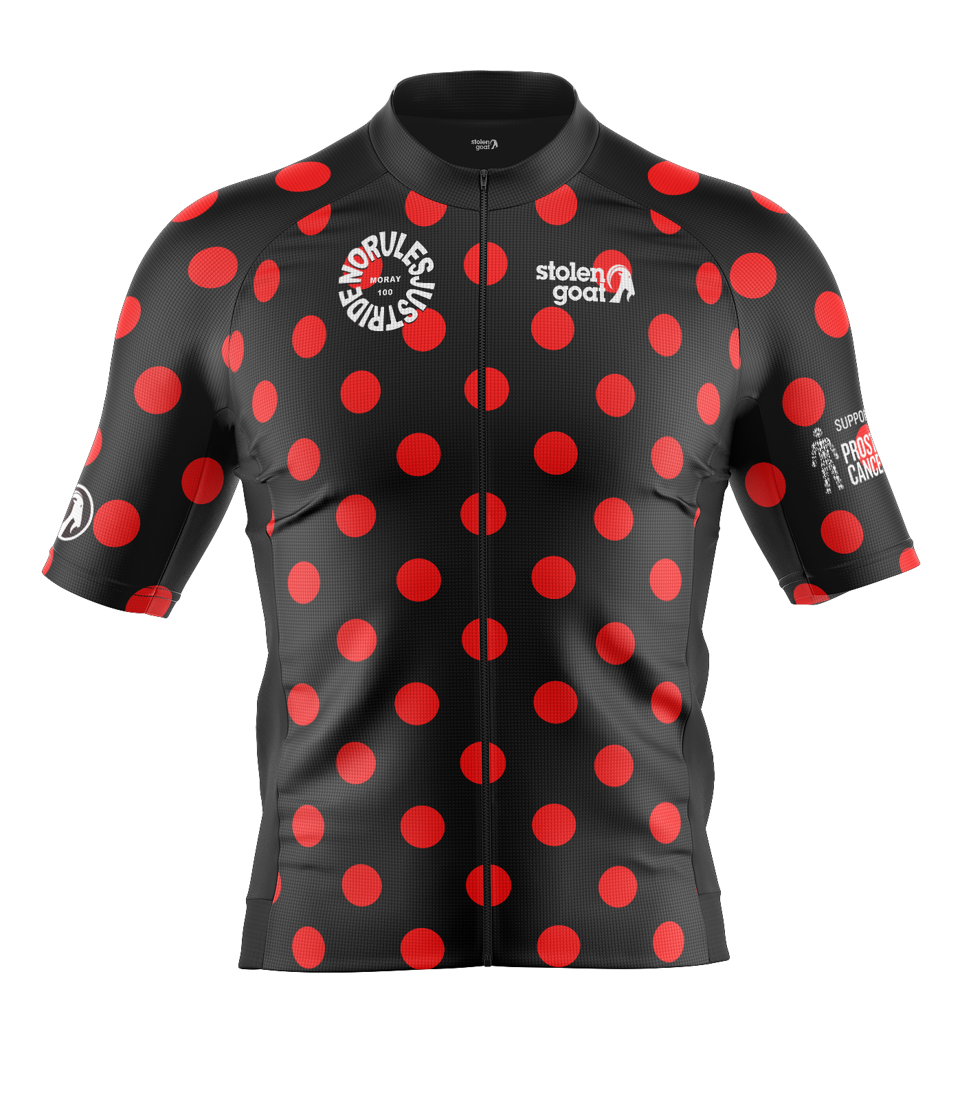 Mens Moray 100 Ibex Everyday SS Jersey
