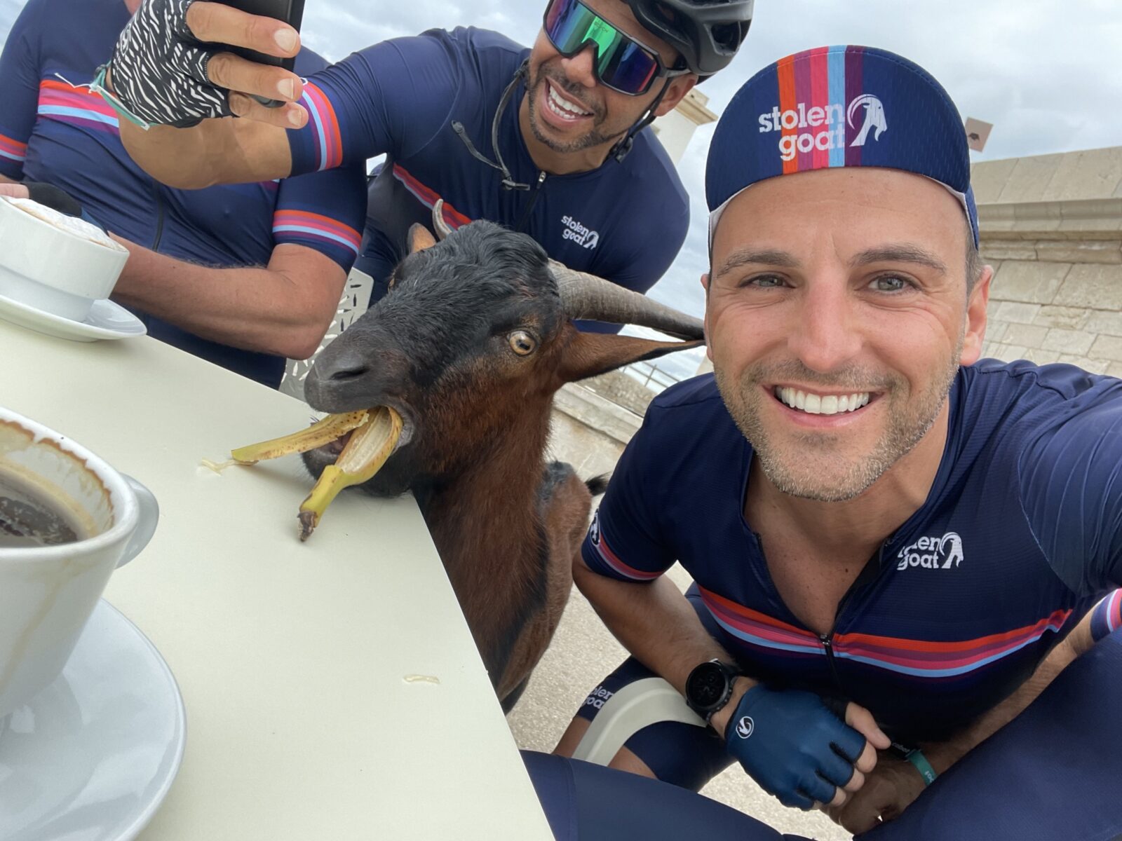 Stolen Goat kit, lived in