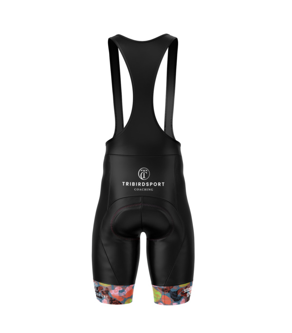 Womens Tri Bird Ibex Everyday Bib Shorts